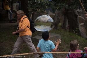 Folklorum_2017_Turisedische_Festspiele__37_