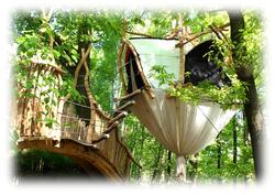 Adventure Night in the Dream-Coocoon in the Tree Tops of the Kulturinsel Einsiedel