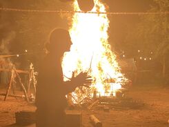 IMG_7521