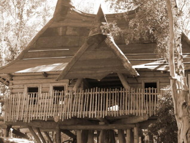 Museumsbaumhaus_Eingang_oben-sepia