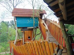 Schiefe-Kiefer-Kinderhaus