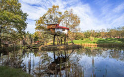 Abenteuer-Freizeitpark Kulturinsel Einsiedel Baumhaus-Hotel Holzgestaltung Bergmann