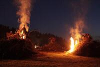 Funkelorum_2015__25_