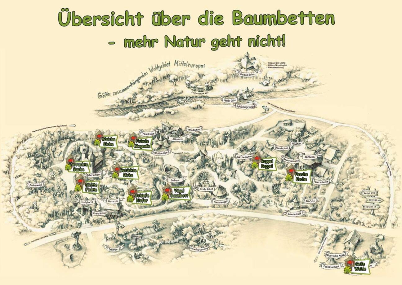 Plan Baumbett Kulturinsel Einsiedel