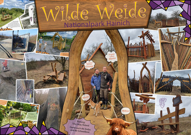 Hainich_Wilde_weide