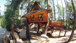 Adventure Nigh at the Children Tree House