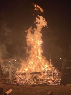 IMG_7535