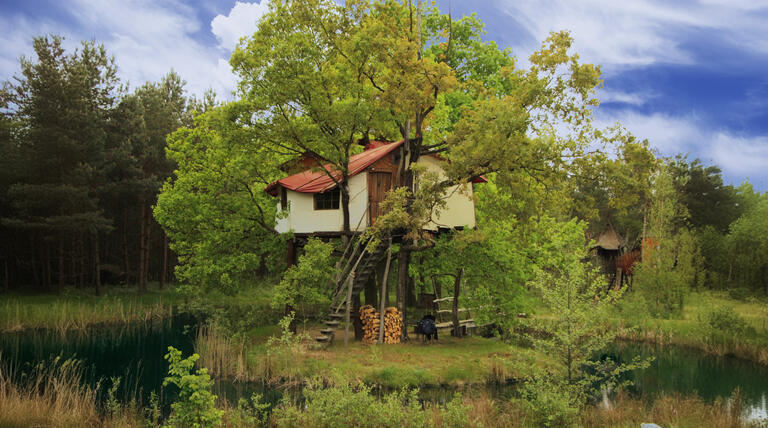 Inselbaumhaus__1_