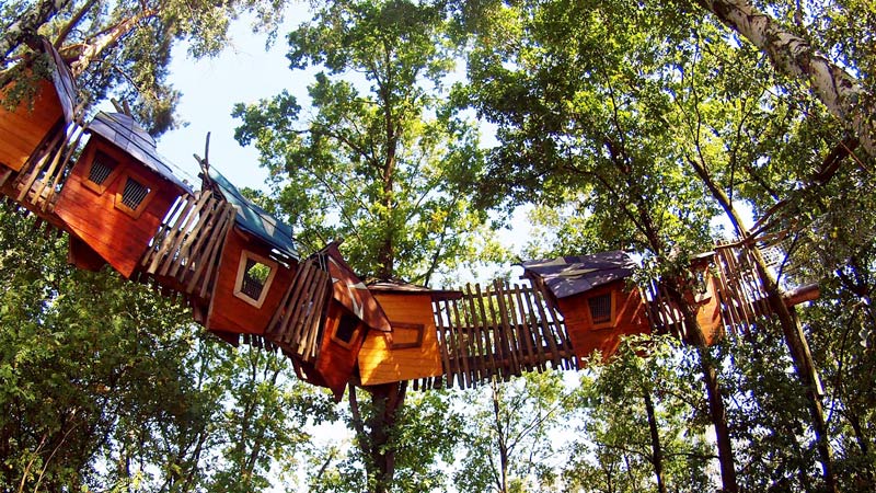 Entdecke die vielen Baumhäuser der Insel Wipfelpfad zwischen den Baumhäusern