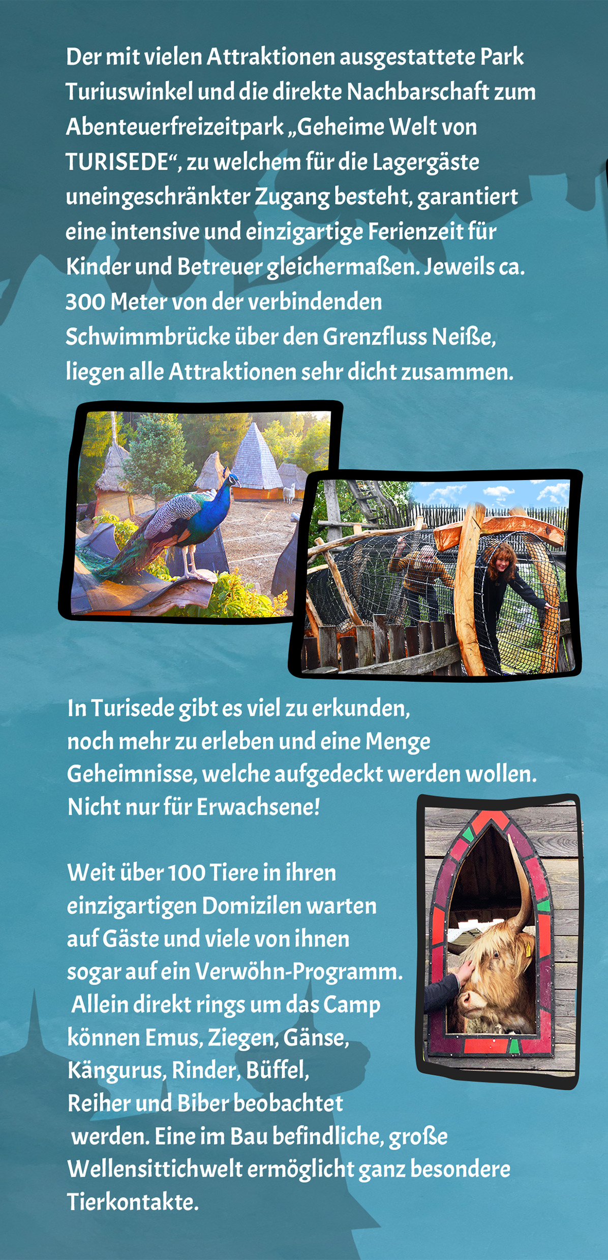 Gruppenflyer – Seite 5